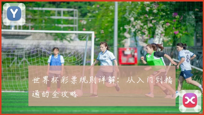 世界杯彩票规则详解:从入门到精通的全攻略