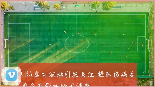 CBA盘口波动引发关注 强队伤病名单公布影响赔率调整