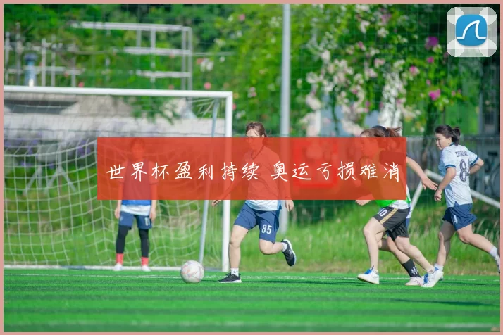世界杯盈利持续 奥运亏损难消
