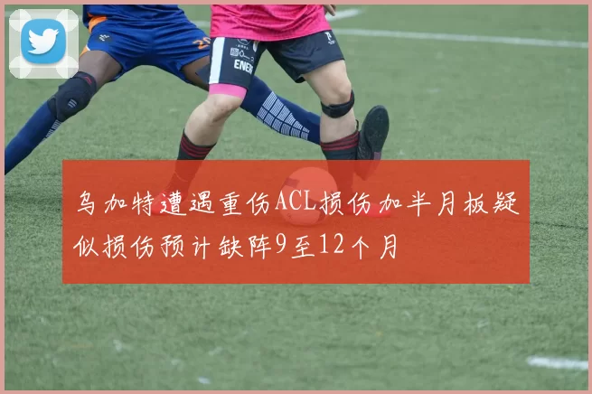 乌加特遭遇重伤ACL损伤加半月板疑似损伤预计缺阵9至12个月