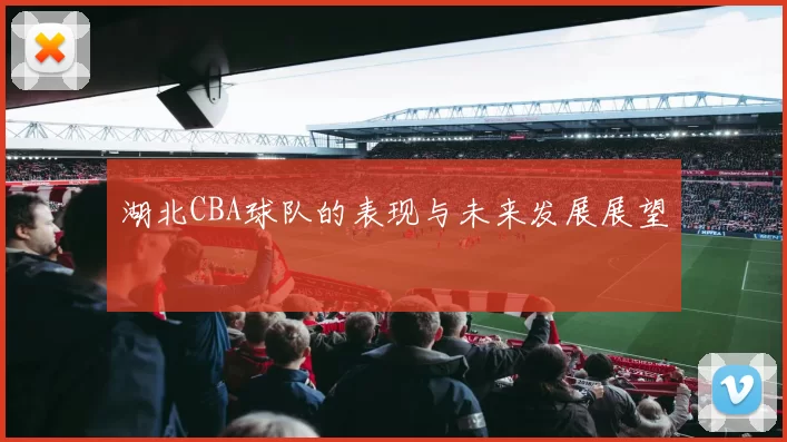 湖北CBA球队的表现与未来发展展望