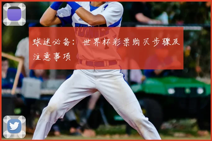 球迷必备:世界杯彩票购买步骤及注意事项