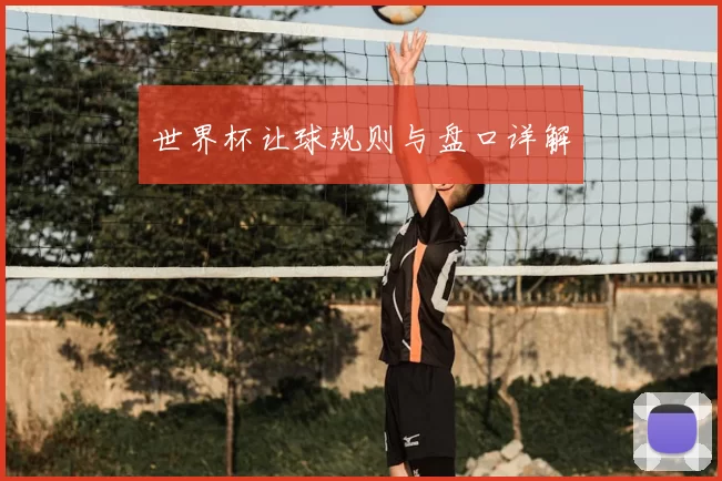 世界杯让球规则与盘口详解