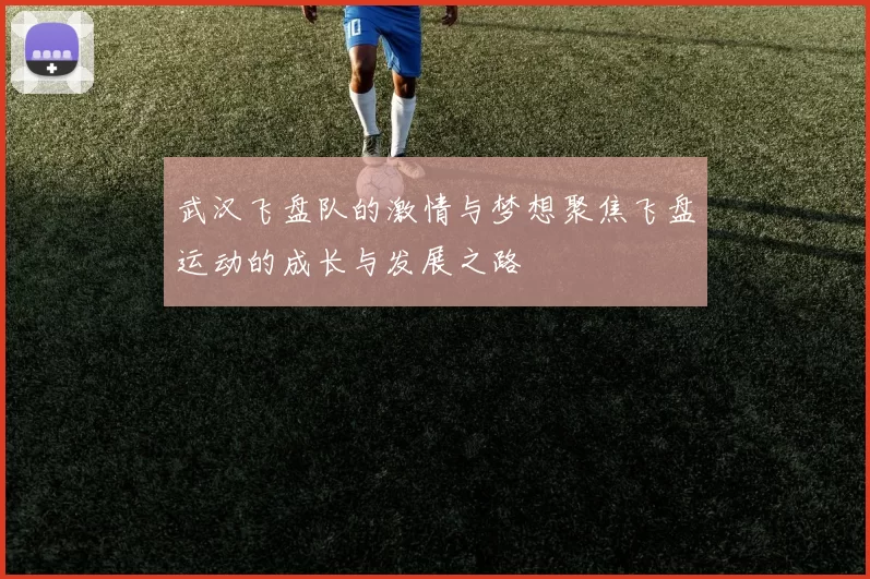 武汉飞盘队的激情与梦想聚焦飞盘运动的成长与发展之路