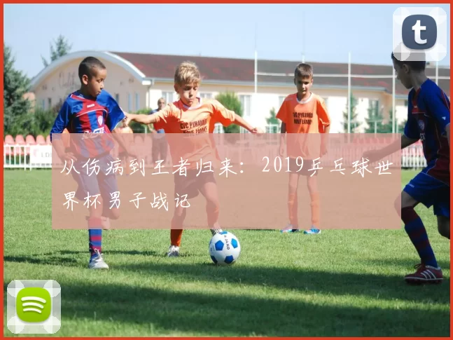 从伤病到王者归来:2019乒乓球世界杯男子战记