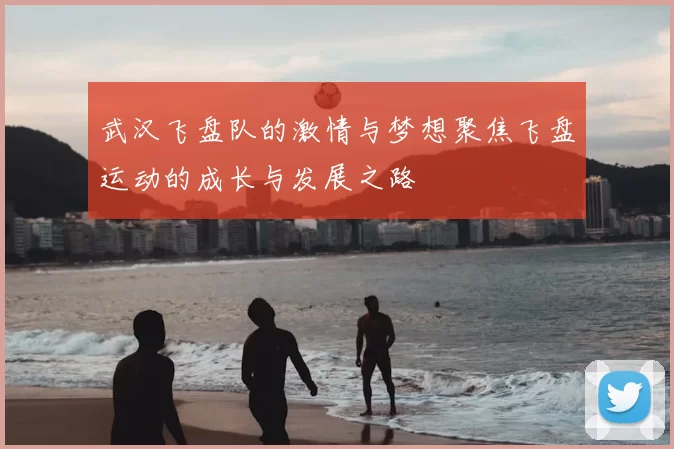 武汉飞盘队的激情与梦想聚焦飞盘运动的成长与发展之路