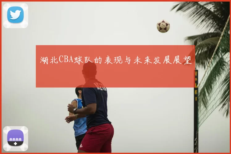 湖北CBA球队的表现与未来发展展望