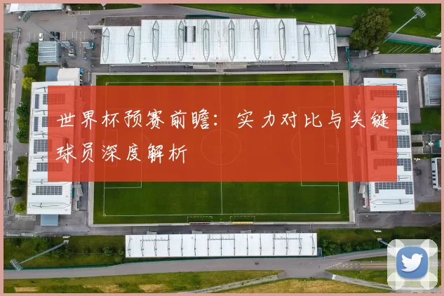 世界杯预赛前瞻:实力对比与关键球员深度解析