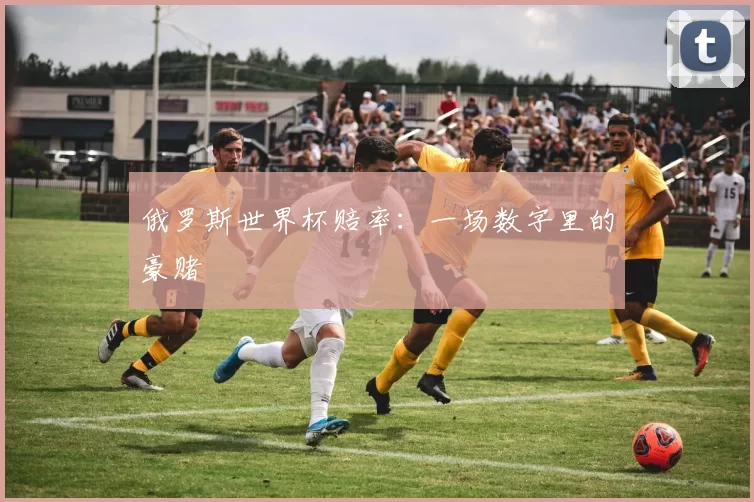 俄罗斯世界杯赔率:一场数字里的豪赌