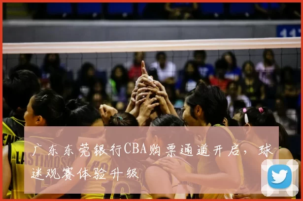 广东东莞银行CBA购票通道开启，球迷观赛体验升级